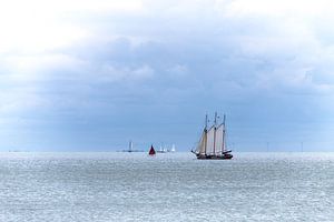 Segelschiffen aufs Markermeer