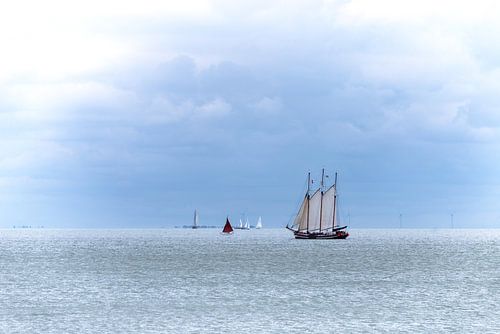 Zeilboten op het Markermeer