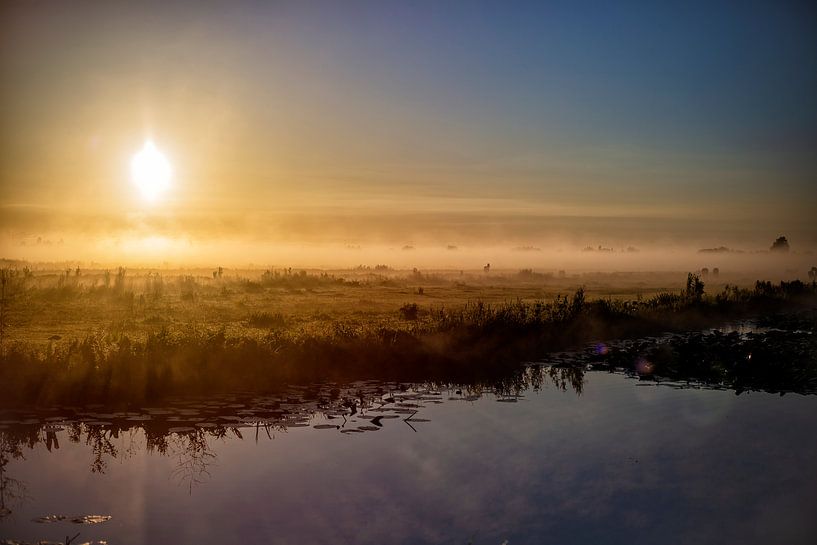 A morning in the Netherlands by Eus Driessen
