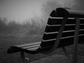 Bench in the fog by UniQ Clicks