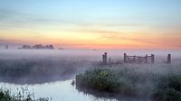 Warm fog