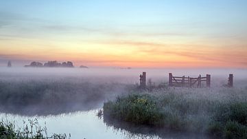 Brouillard chaud sur sjaak vogel