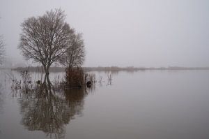 Transformatie van akkerland naar natuurgebied. van Ronald Harmsen