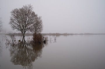 Transformation de terres cultivées en réserve naturelle. sur Ronald Harmsen