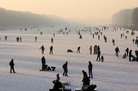 Eislaufspaß auf der Bosbaan in Amsterdam von Albert van Dijk Miniaturansicht