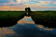 Arkenheemse polder, provincie Utrecht. van Lex Boon thumbnail