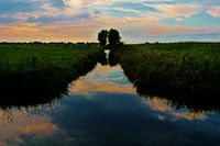Arkenheemse polder, provincie Utrecht.