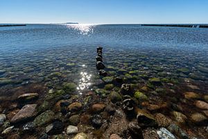 Groyne - Bow - Péninsule d'Ummanz
