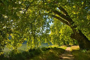 Herbst im Park von Emenonville in der Picardie in Frankreich