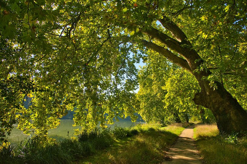 Autumn in the park of Emenonville in Picardy in France by Tanja Voigt