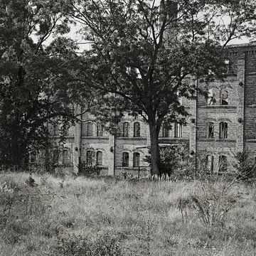 Ruine des Lagergebäudes des Böllberger Mühlen-Komplexes in Halle in Deutschland