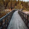 Vlonderpad in Zweeds Lapland | Zweden | Reisfoto van Expeditie Aardbol