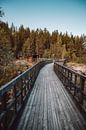 Vlonderpad in Zweeds Lapland | Zweden | Reisfoto van Expeditie Aardbol thumbnail