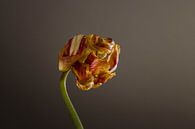 The Floral Essence van Wendy Bos thumbnail
