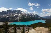 Peyto-See, Banff NP von Bart van Dinten Miniaturansicht