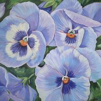 Blauwe Violen