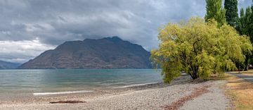 Queenstown panorama by Richard Wareham