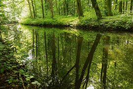 Spiegelbeeld