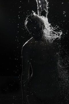 Splash! van Allard Kamermans