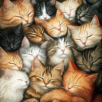 Chats