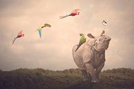 Be free like a bird and fly van mirka koot thumbnail
