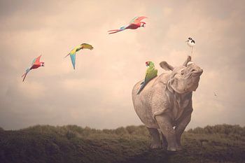 Sei frei wie ein Vogel und fliege