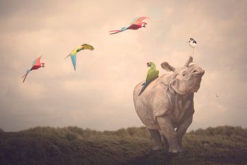 Be free like a bird and fly van mirka koot