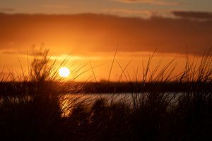 Marqueur de lever de soleil Wadden sur Tanja van Beuningen