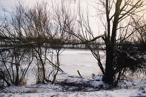 Beautiful winter landscape in almere