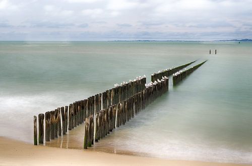 Plage en Zélande