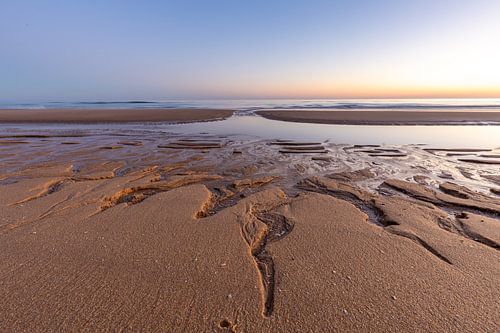 Zonsondergang op het zandstrand Praia da Falésia. Kliffen Roze bloemen bij Albufeira, Portugal