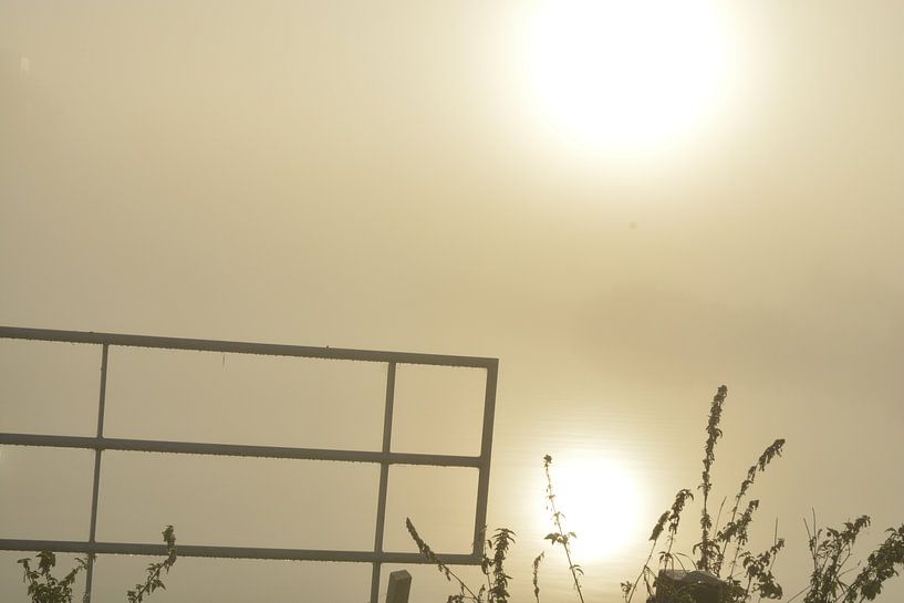Plus de plantes dans le brouillard du matin avec le soleil levant par Trinet Uzun