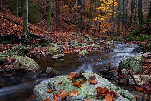 Ninglinspo by Marcel Ohlenforst