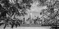 Manhattan Skyline van Kurt Krause thumbnail