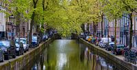 Amsterdamse gracht