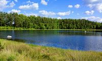 Idylle im Sonnenschein - Waldsee von Gisela Scheffbuch Miniaturansicht