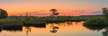 Panorama en zonsopkomst in het Nationale Park Dwingelderveld van Henk Meijer Photography