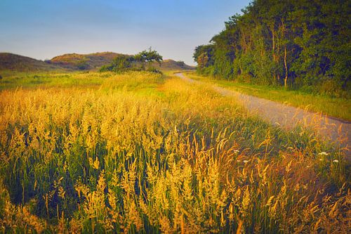 Fietspad onder het duin. van Kaap Hoorn Gallery