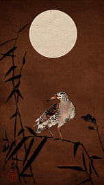 Traditionele Japanse prent van Vogel (Black Horsman) op bamboe in Bruine tint