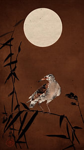 Traditioneller japanischer Holzschnitt von Vogel (Black Horsman) auf Bambus in Brauntönen