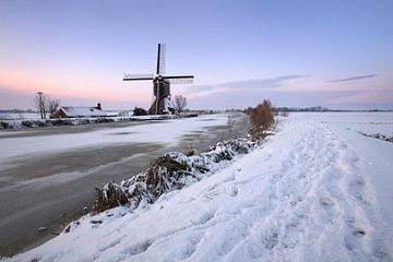 Poldermühle im Winter von Mark Leeman