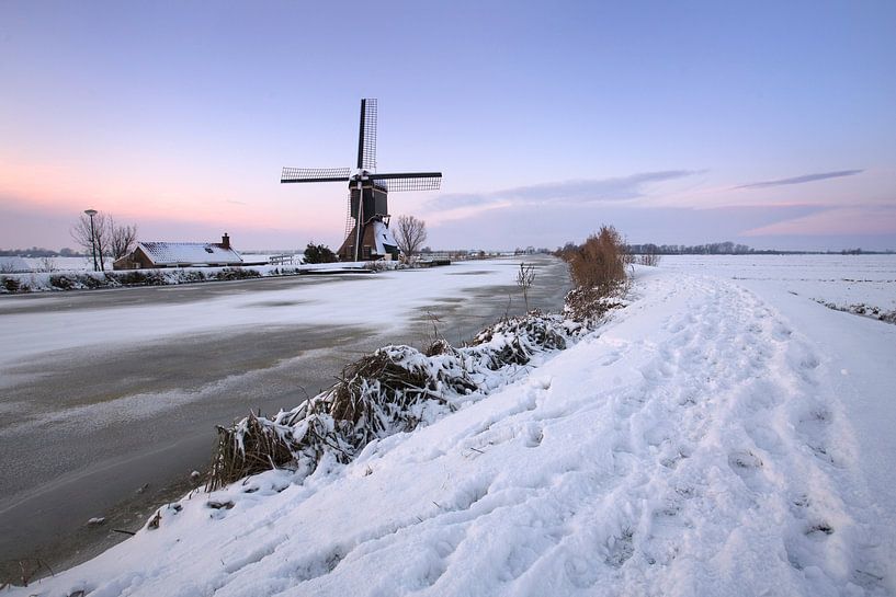 Polder mill in winter by Mark Leeman