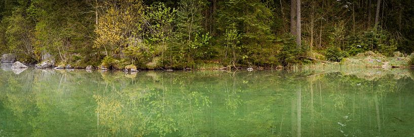Lac dans la forêt - Panorama par Martin Wasilewski