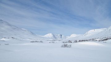 Noors hooggebergte, besneeuwde bergen en landschap van Martin Köbsch