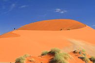 Wüstenlandschaft mit roten Dünen Namibia von Bobsphotography Miniaturansicht