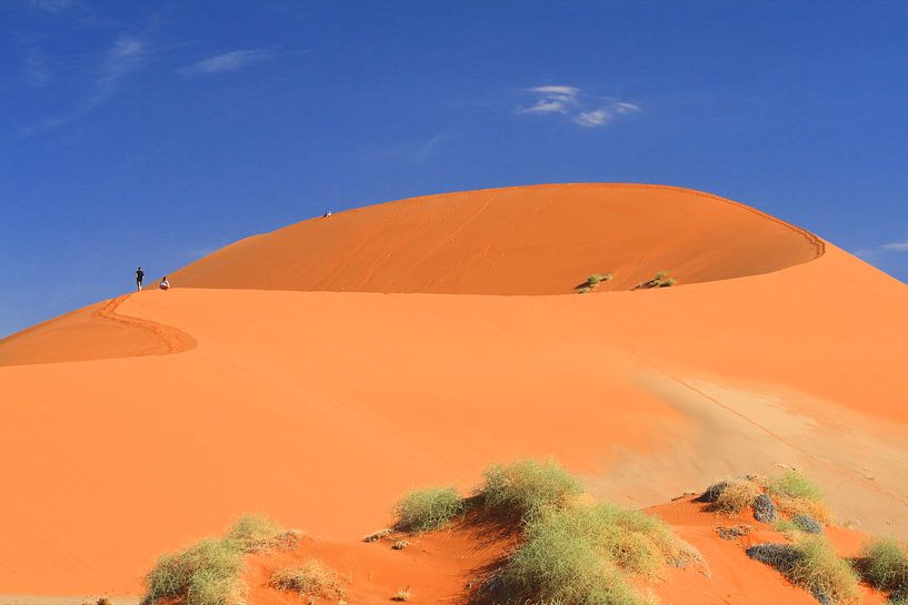 Wüstenlandschaft mit roten Dünen Namibia von Bobsphotography
