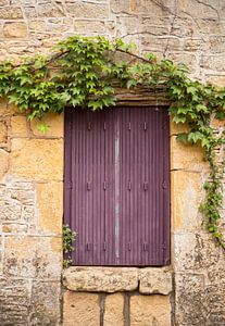 Old façade with two burgundy red wooden shutters and framed by ivy