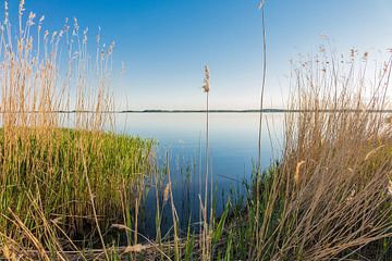 Landscape on a lake sur Rico Ködder