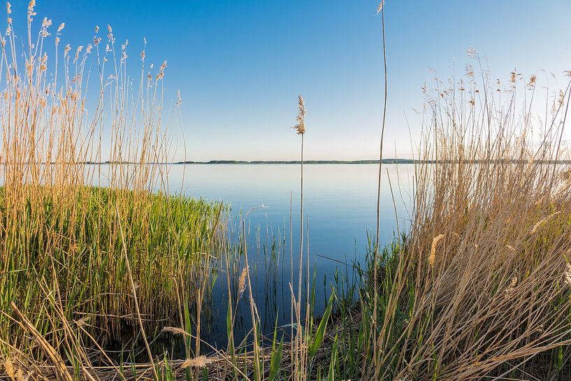 Landschaft am Achterwasser auf der Insel Usedom von Rico Ködder