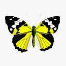 Schmetterling - gelb von Jole Art (Annejole Jacobs - de Jongh) Miniaturansicht